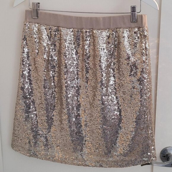 Sequined Skirt - Picture 2 of 6